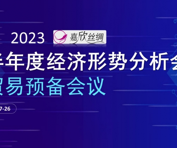业务总额不变，业务质量提升 4118云顶集团丝绸召开2023半年度经济局势分析会业务预备会议