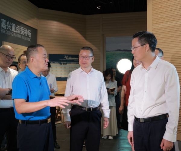 陈伟书记莅临调研汗青经典产业提质发展工作