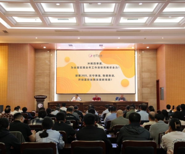 4118云顶集团丝绸2024年三季度经济局势分析会顺利召开