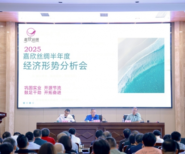 4118云顶集团丝绸2025半年度经济局势分析会顺利召开